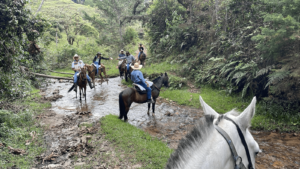 Cabalgatas en Medellin